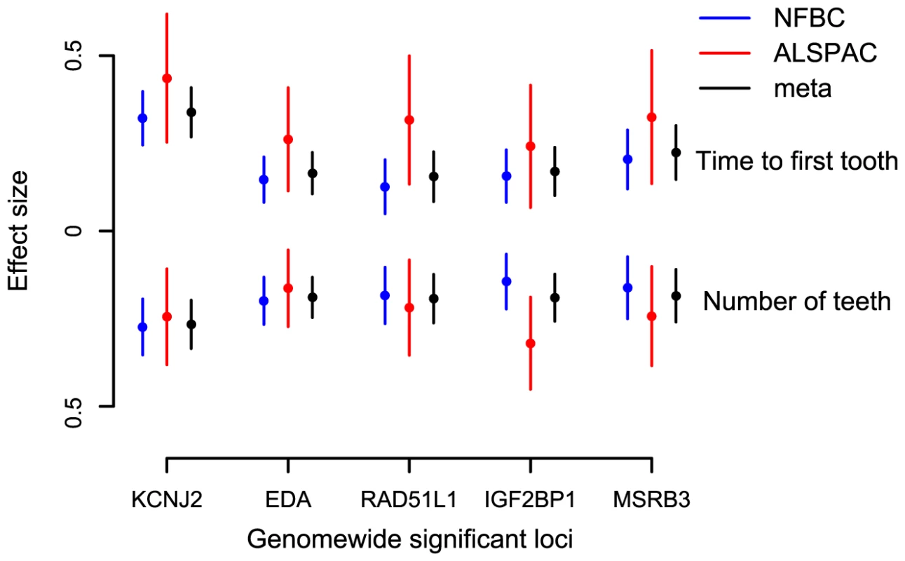 The combined impact of the delayed tooth eruption alleles in 5 identified loci at <i>P</i><5×10<sup>−8</sup> in the NFBC1966.