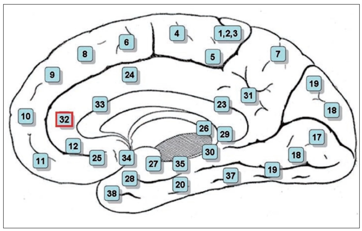 Poloha rostrální cingulární a paracingulární kůry (Brodmanova area 32).