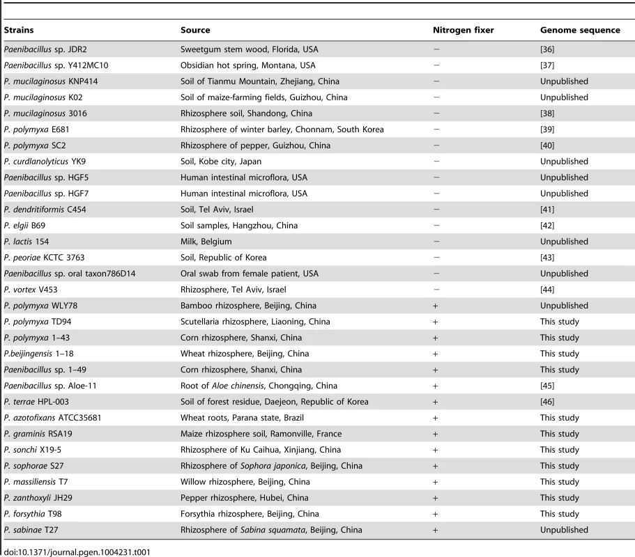 <i>Paenibacillus</i> strains used in study.