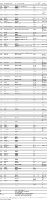 Selection of 104 genes upregulated after LiCl or AZ treatments.