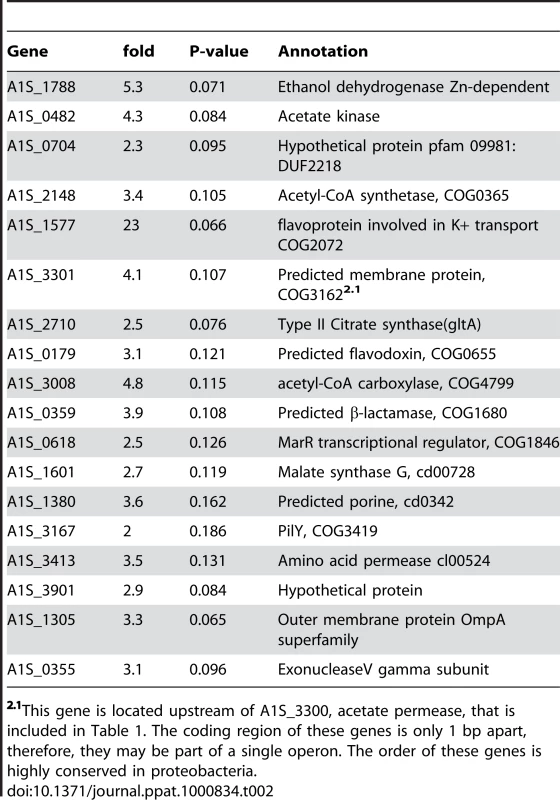 Genes with a P-value above the threshold but showing an induction of two fold or more in two independent experiments.