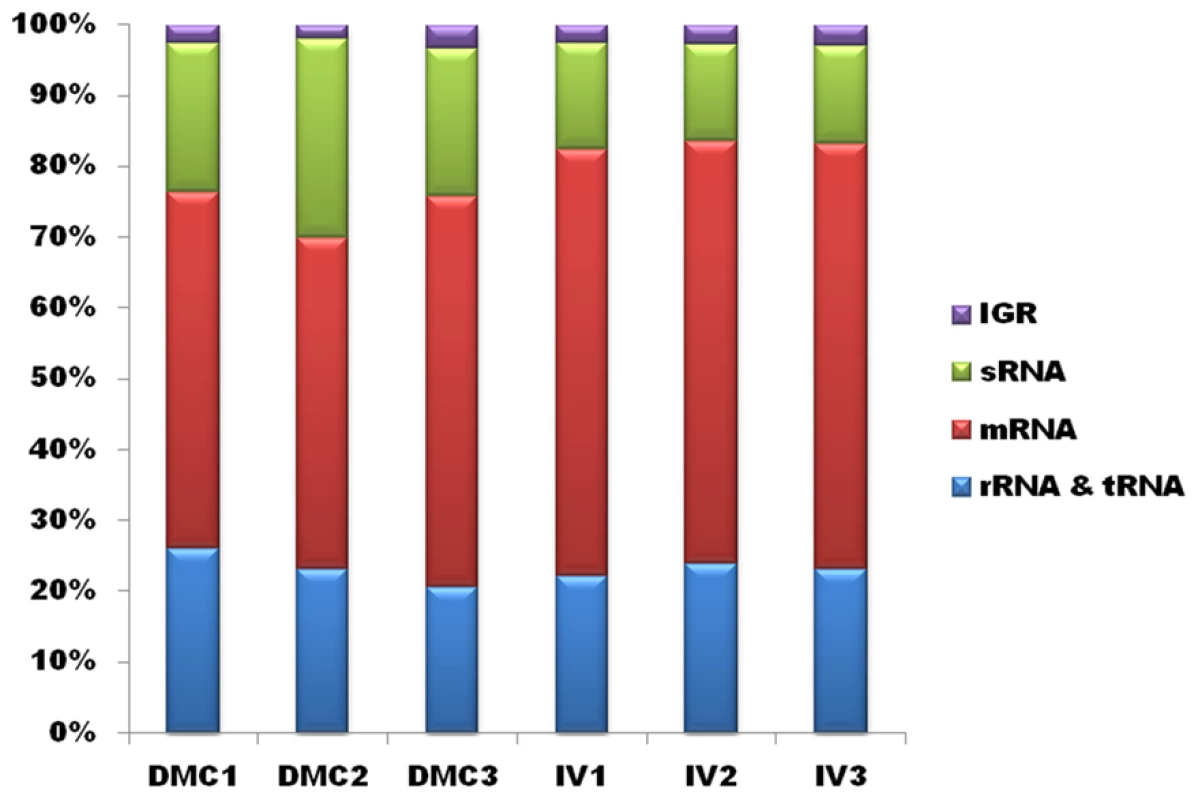 Mapping of RNA-Seq reads.