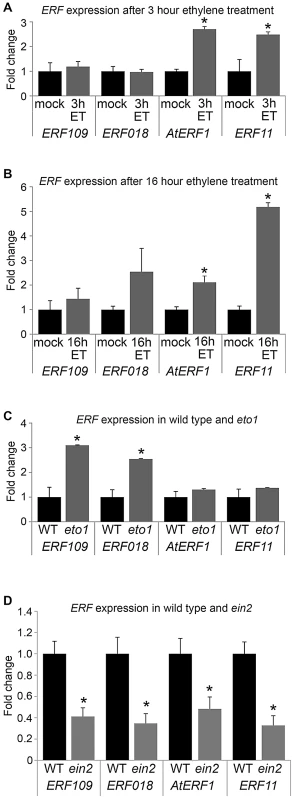 <i>ERF</i> expression responds to ethylene.