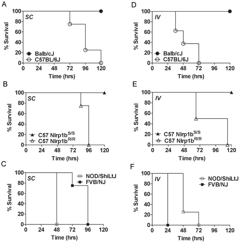 Susceptibility to infection with vegetative bacteria.