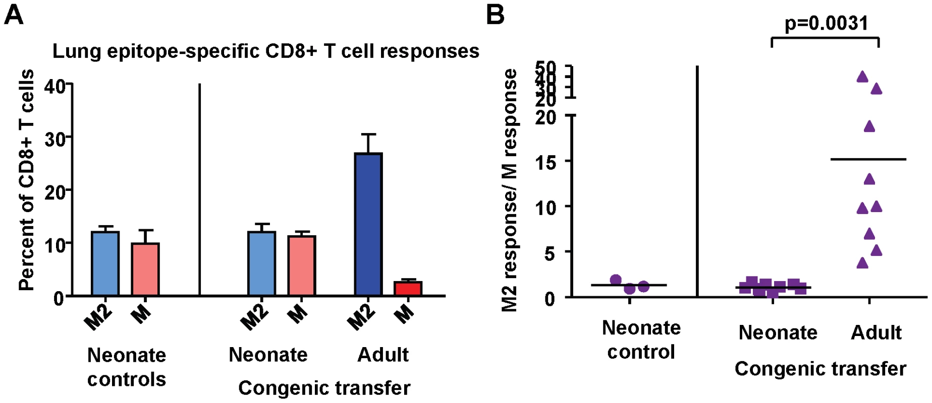 Intrinsic CD8+ T cell factors contribute to epitope hierarchy post-infection.