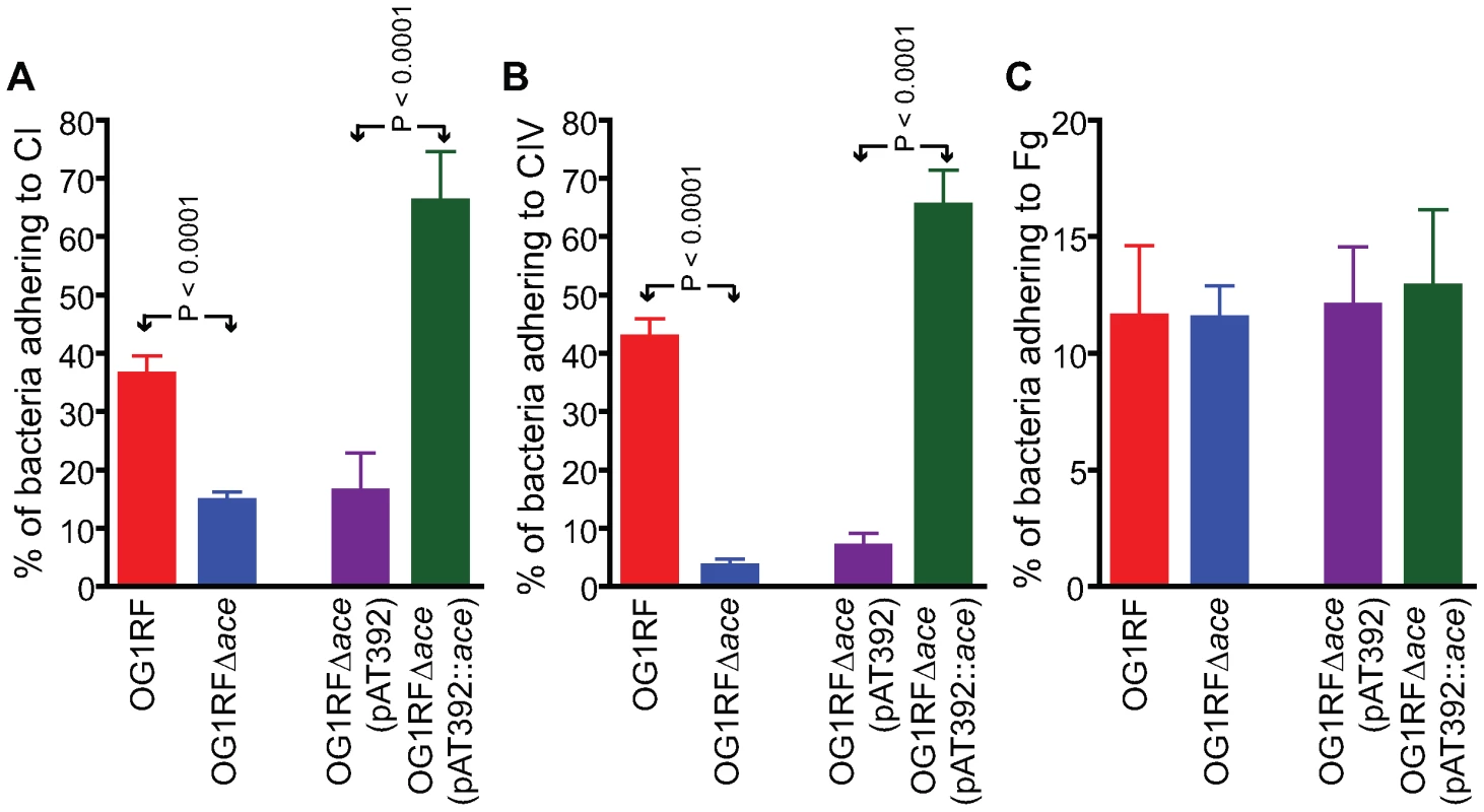 Adherence of <i>E. faecalis</i> OG1RF and its derivatives to immobilized collagens.