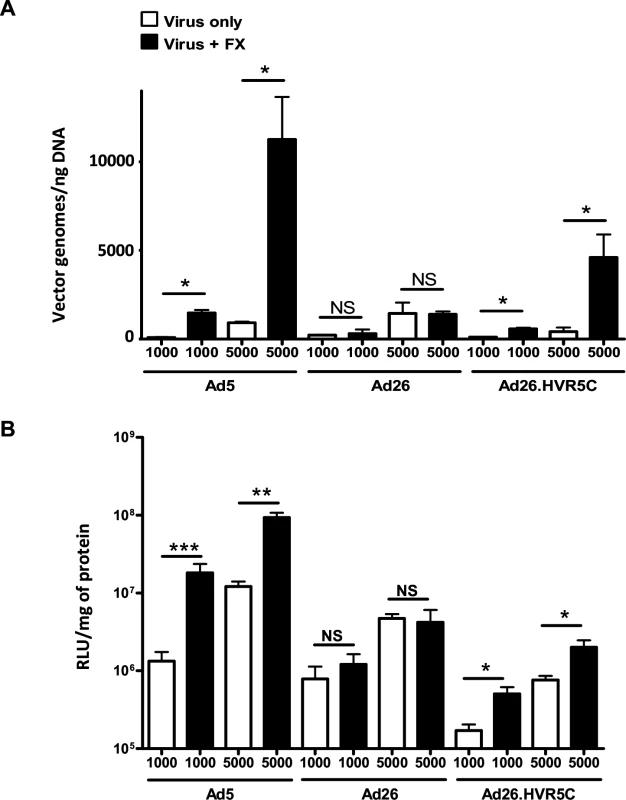FX-mediated Ad26.HVR5C cell surface binding and transduction.