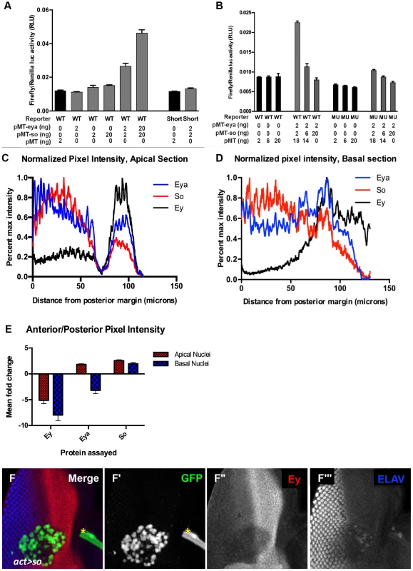 Excess So is sufficient to block enhancer activation in vitro.