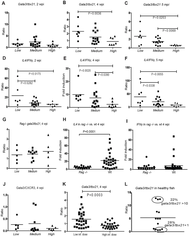 Controlled mycobacterial infection is characterized by Th2-type response from 4 weeks post infection.
