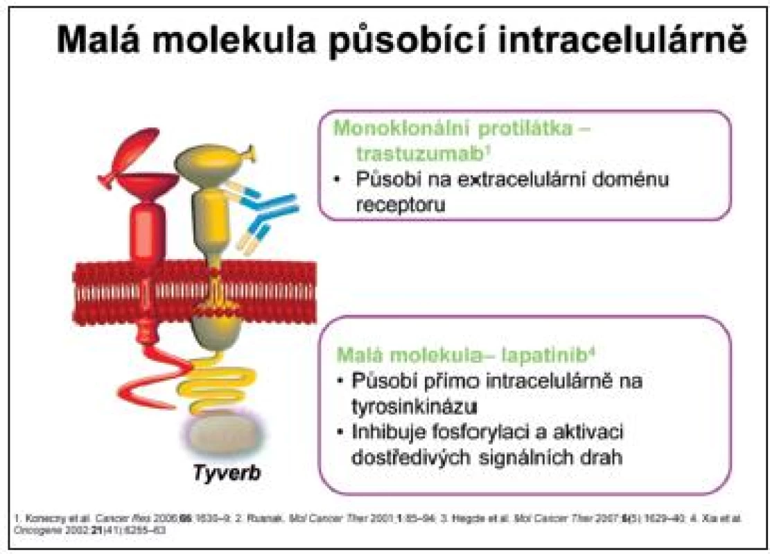 Lapatinib je aktivní malá molekula vyvinutá k perorálnímu použití
