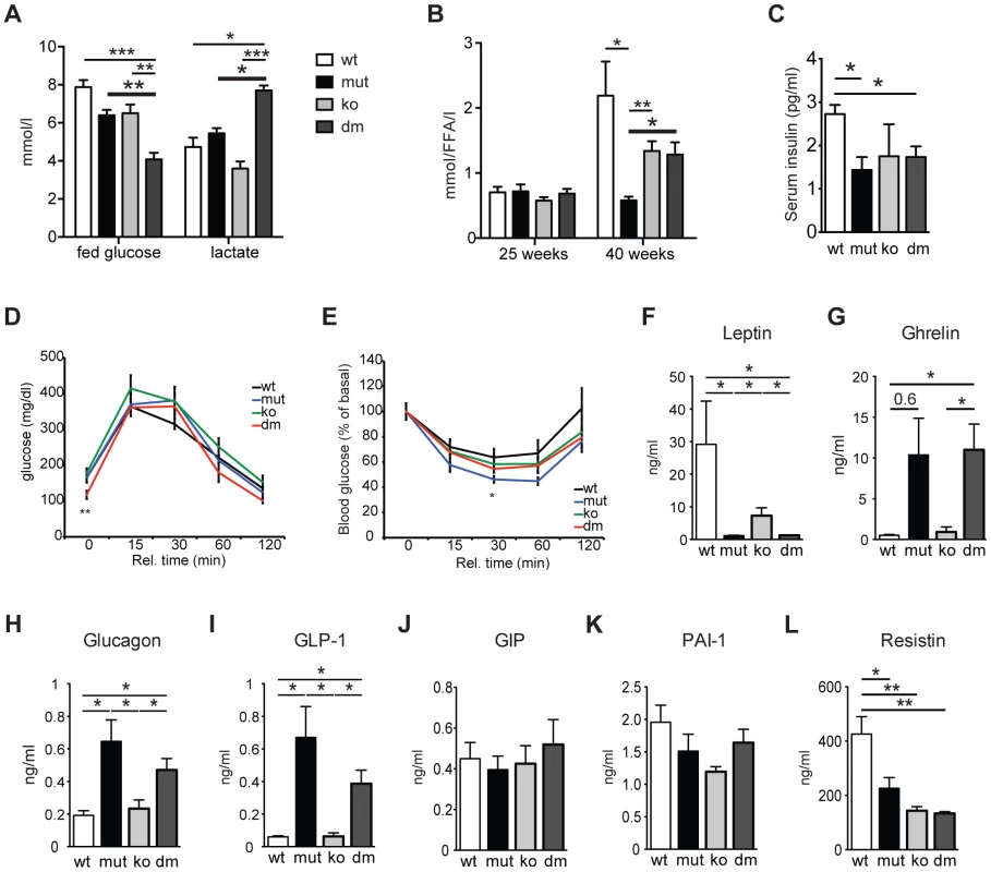 Characterization of blood metabolites in wild type (wt), mtDNA mutator (mut), UCP2-deficient wild type (ko) and mtDNA mutator (dm) mice.