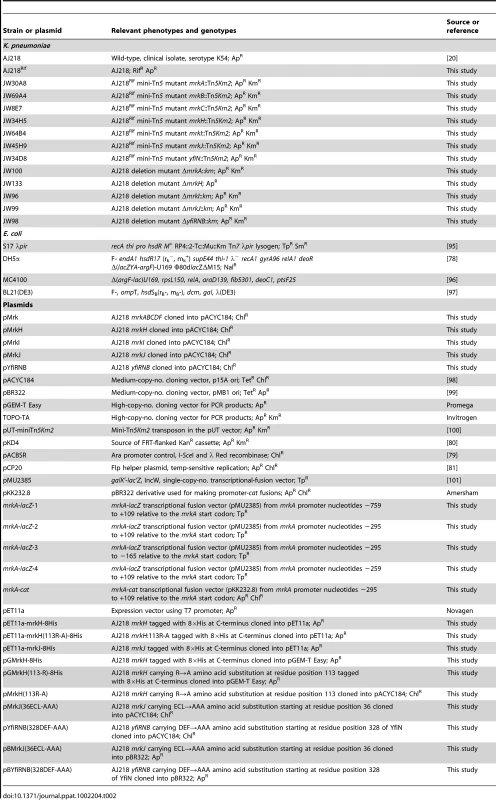 Bacterial strains and plasmids used in this study.