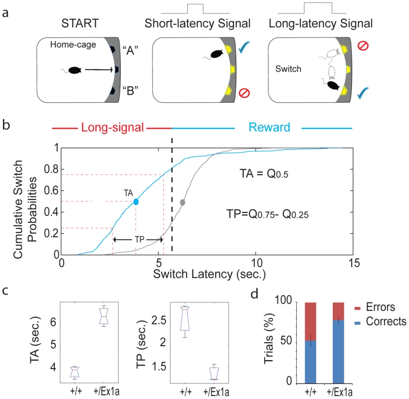 Cognitive performance in Exon 1A mice and littermate controls.