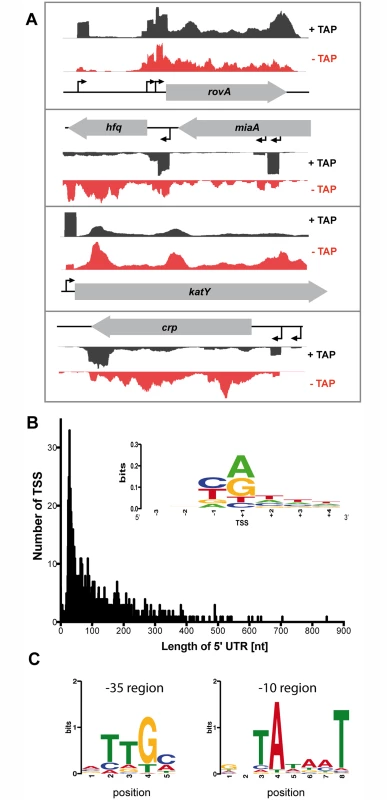 Global identification of mRNA transcriptional start sites (TSSs).