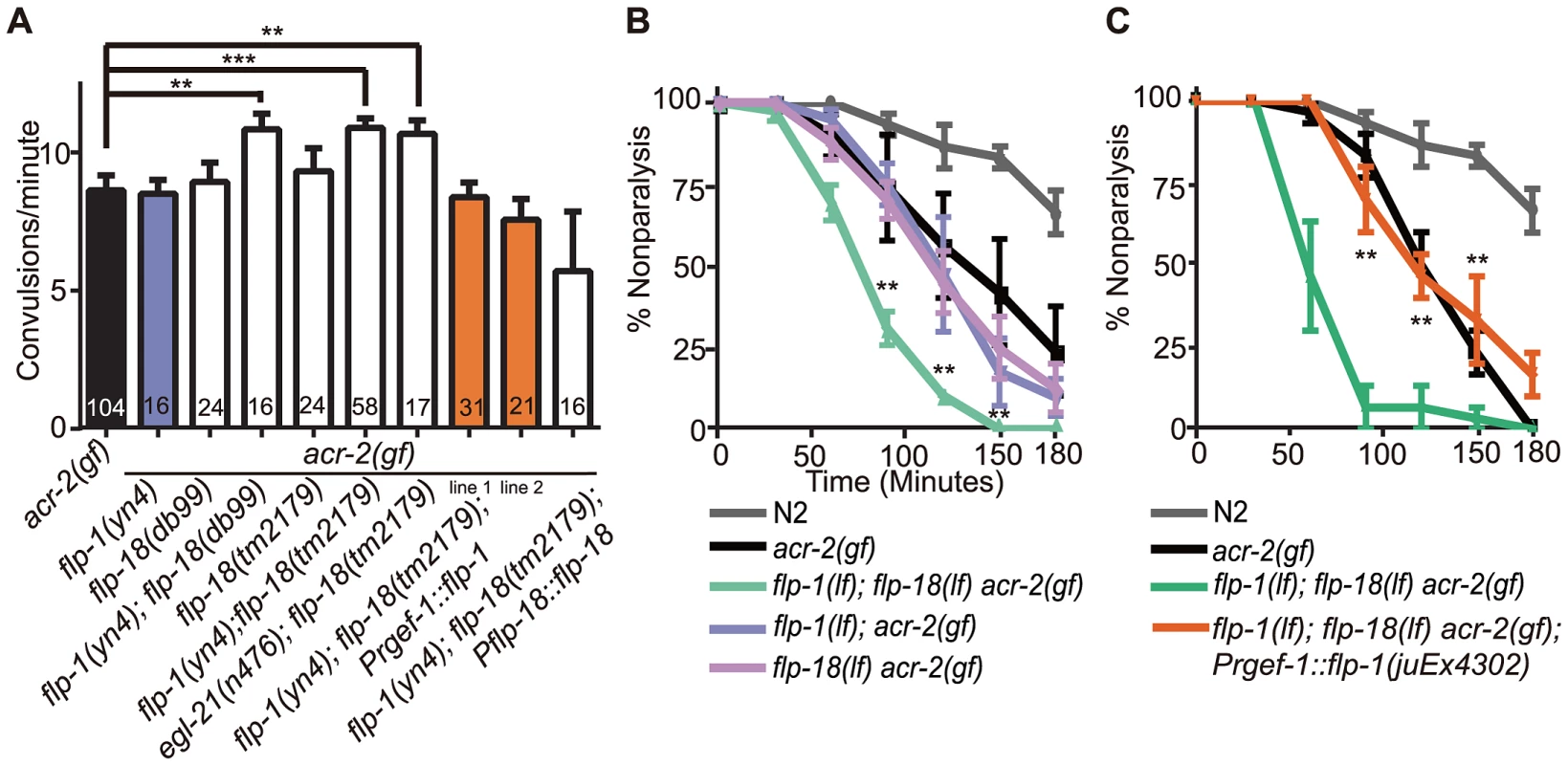<i>flp-1</i> and <i>flp-18</i> act as inhibitory neuropeptides in the <i>acr-2(gf)</i> background.