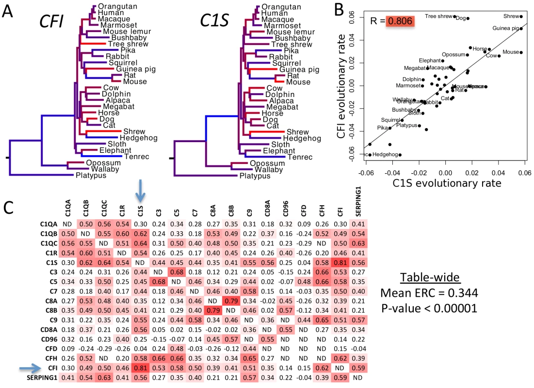ERC values between complement deficiency genes.