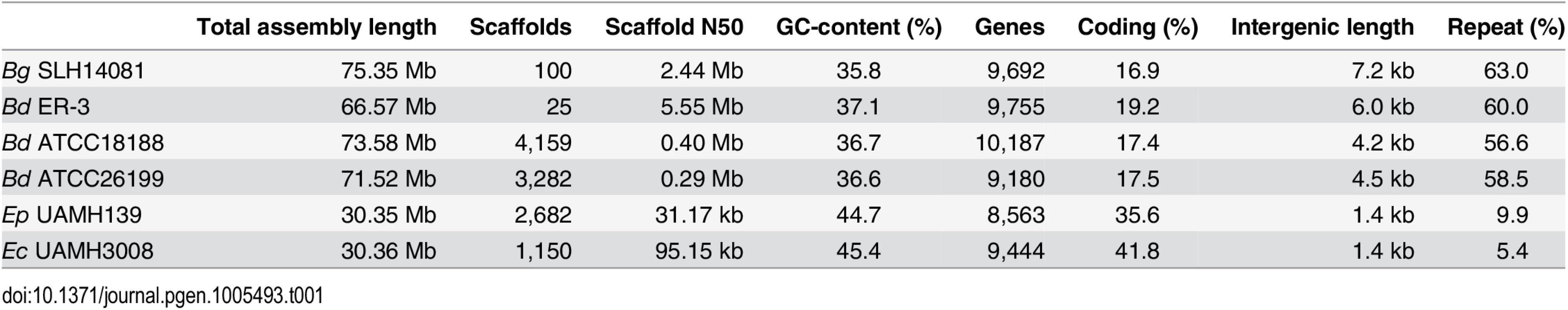 Assembly and annotation statistics for <i>Blastomyces</i> and <i>Emmonsia</i> genomes.