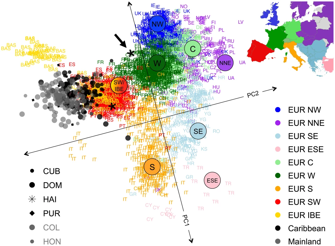 Sub-continental origin of European haplotypes derived from admixed genomes.