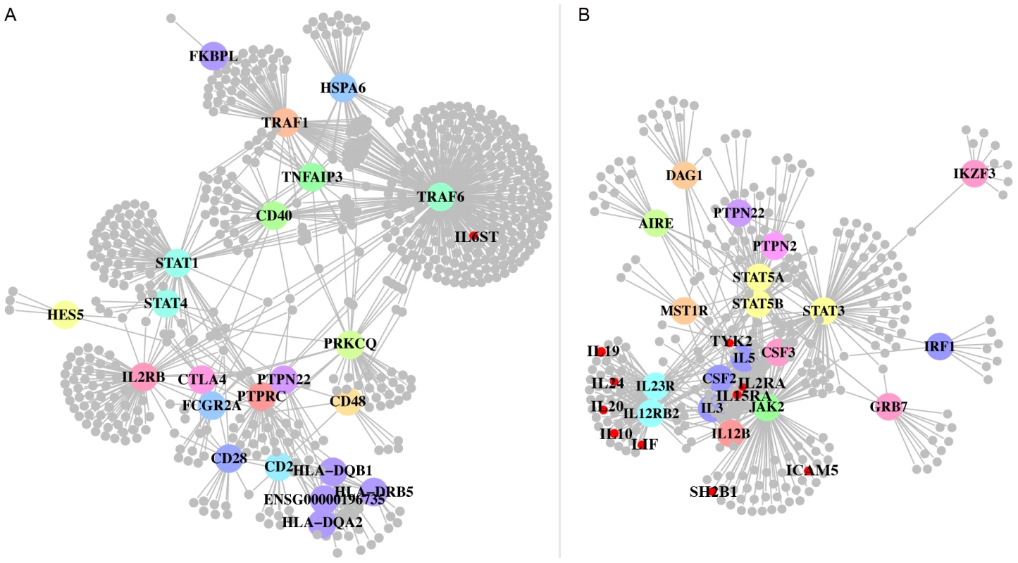 Final disease networks.