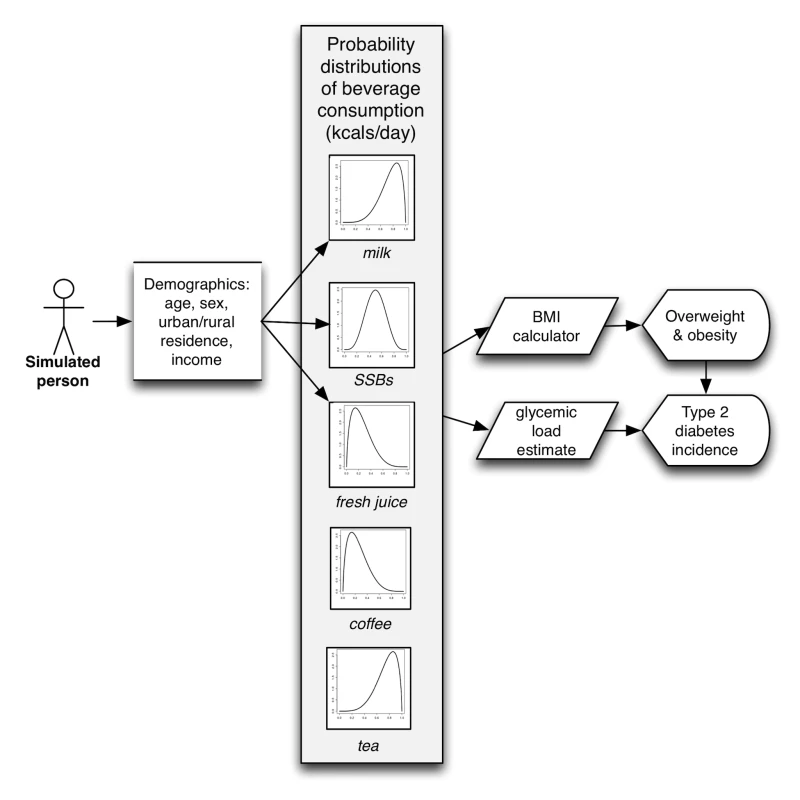 Model diagram.