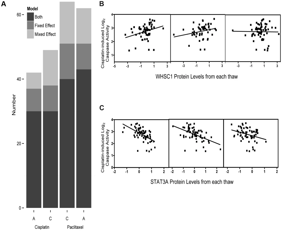 Protein levels regressed against four cytotoxicity phenotypes using fixed effect or mixed effect models representing the three biological replicates.