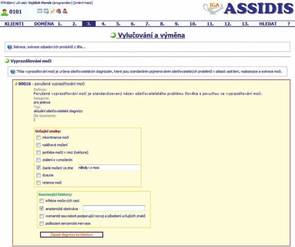 Struktura ošetřovatelské diagnózy v elektronické dokumentaci