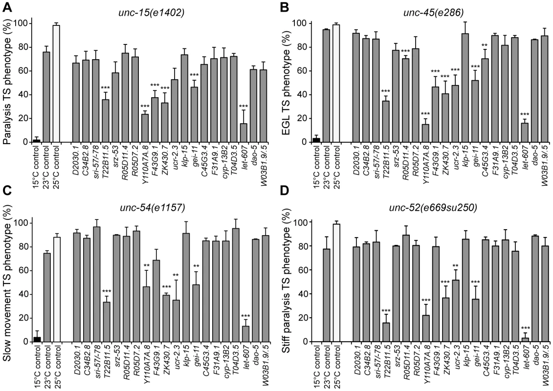 Aggregation modifiers that rescue the folding of endogenous TS mutant proteins.