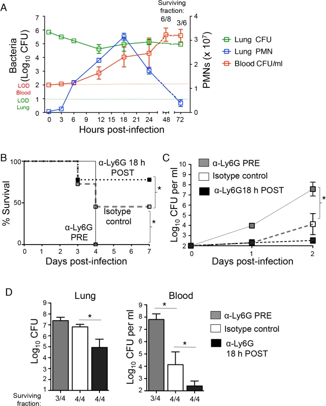 PMNs promote pulmonary and systemic disease during later stages of <i>S</i>. <i>pneumoniae</i> lung infection.