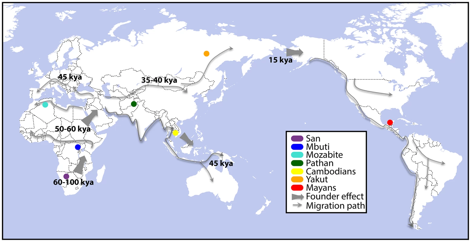Collection sites for genome-, exome-, and RNA-sequenced human lymphoblastoid cell lines (LCLs).