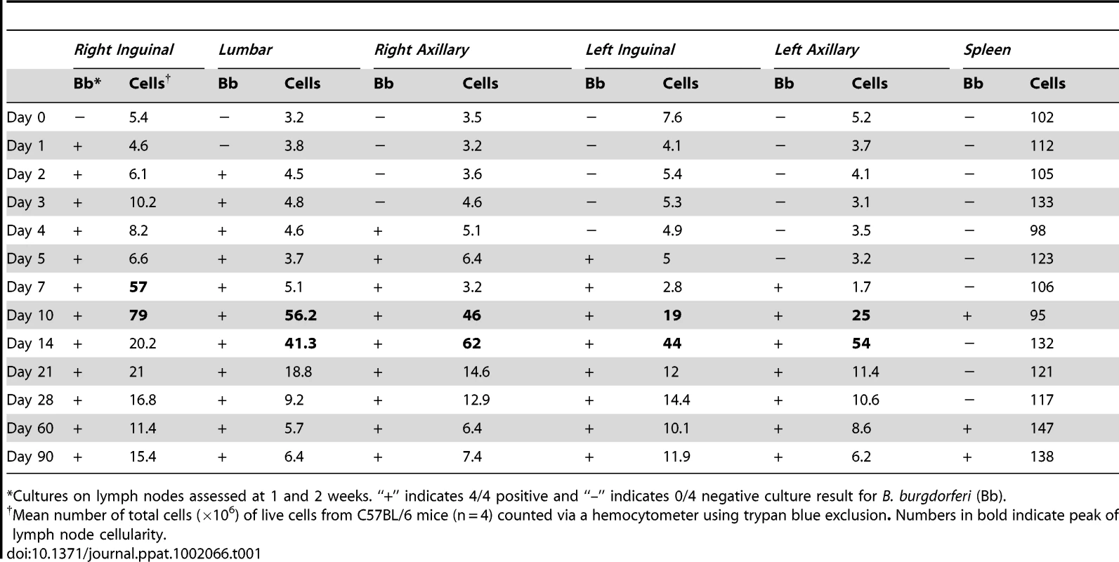 <i>B. burgdorferi</i> presence correlates with lymphadenopathy in mice infected with host-adapted spirochetes.