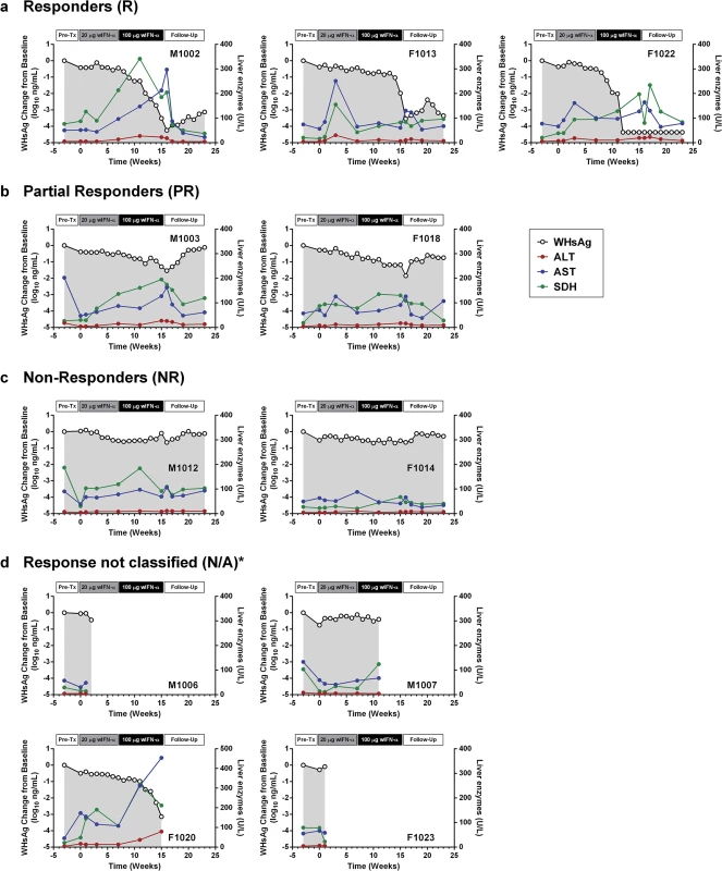 Serum WHsAg and liver enzymes for individual wIFN-treated animals.