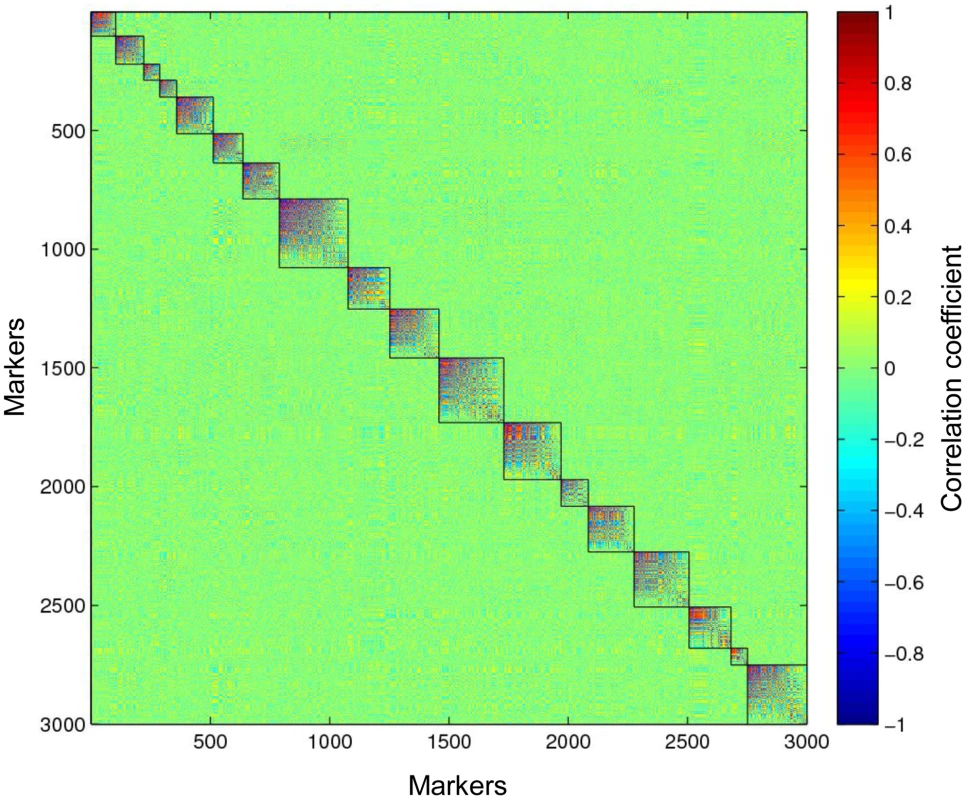 Eighteen paternal linkage groups identified in the full-sib tetraploid linkage population.