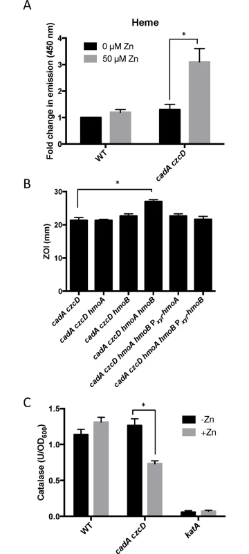 Zn(II) intoxication leads to intracellular heme accumulation.