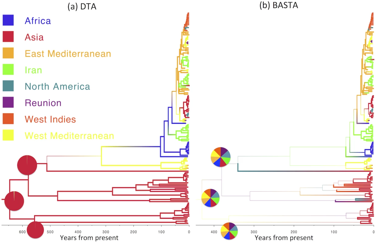 Inference of ancestral locations on the TYLCV dataset.