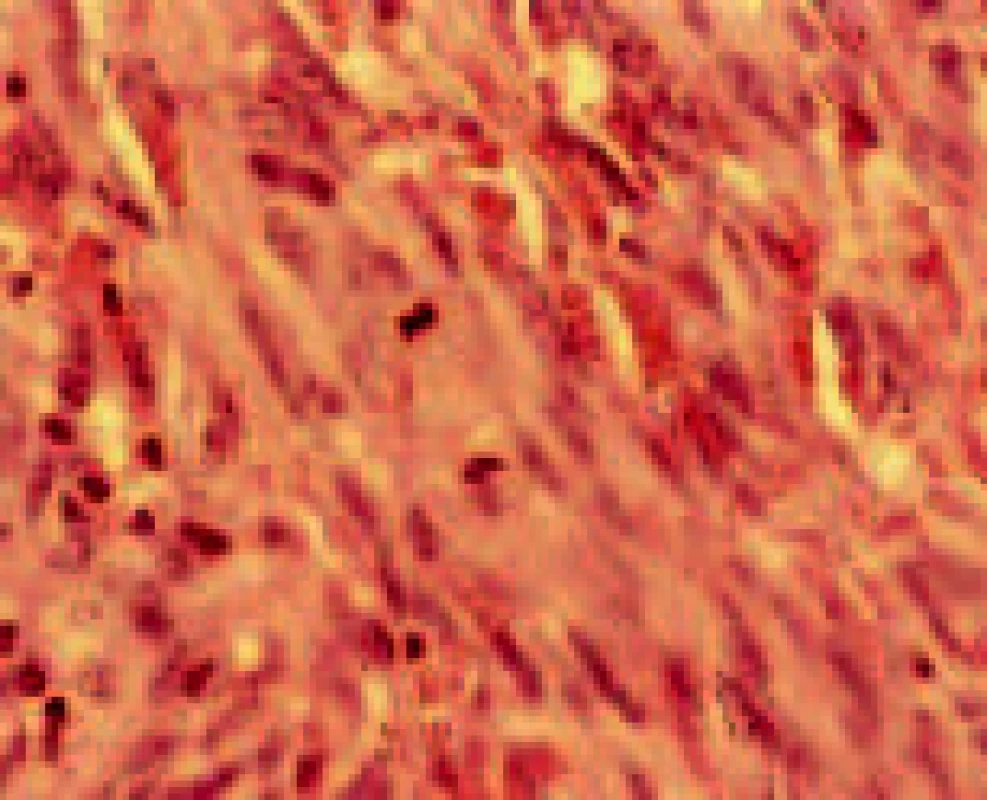 jp_2403_p_4
