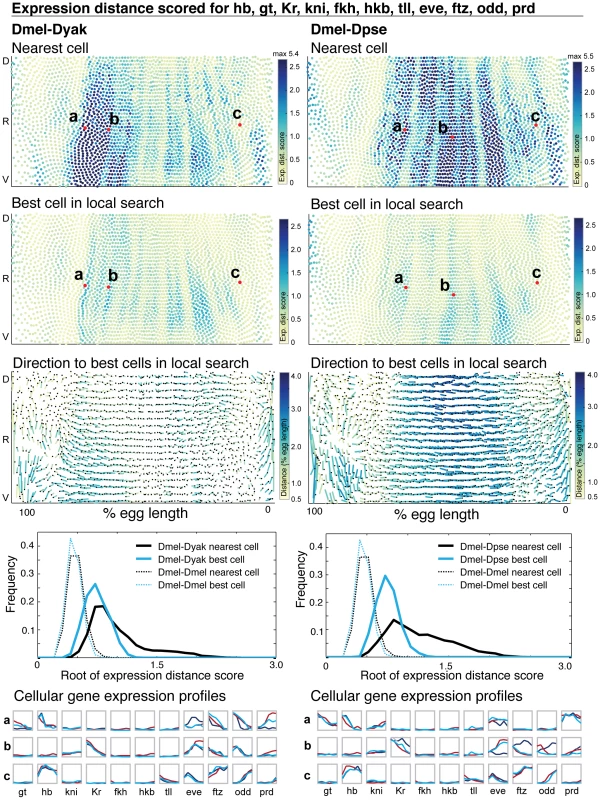 The majority of cellular gene expression profiles are conserved.