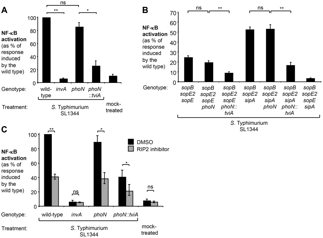 Expression of TviA in <i>S.</i> Typhimurium SL1344 reduces T3SS-1-driven NF-κB activation in epithelial cells.
