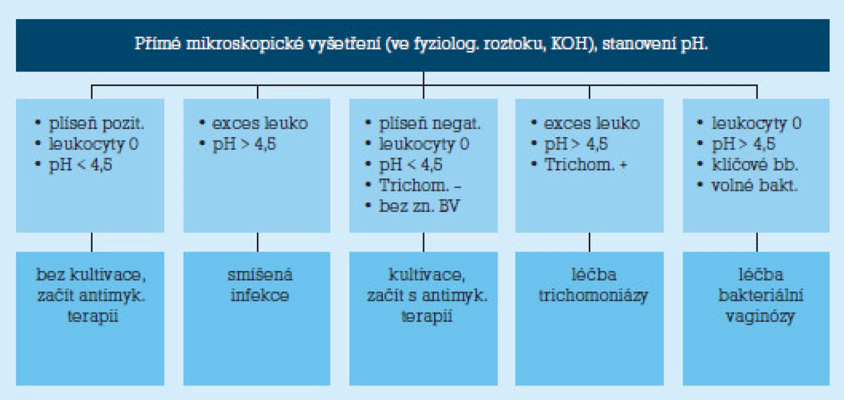 Diferenciální diagnostika symptomatické vaginální infekce [2].