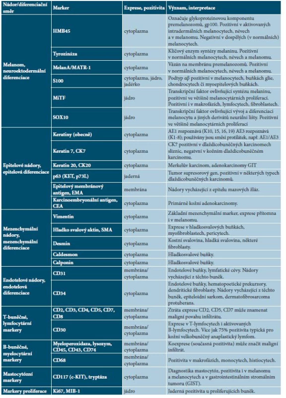 Přehled základních diagnostických imunohistochemických markerů v dermatoonkologii