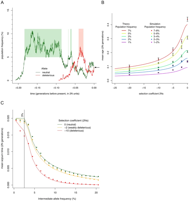 Simulation and theoretical results for allelic age and sojourn times.