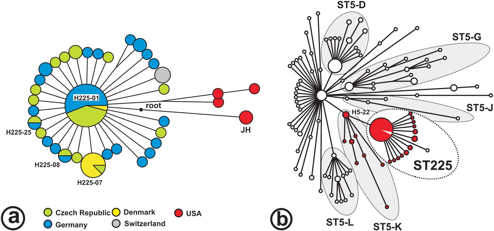 Radiation of ST225.