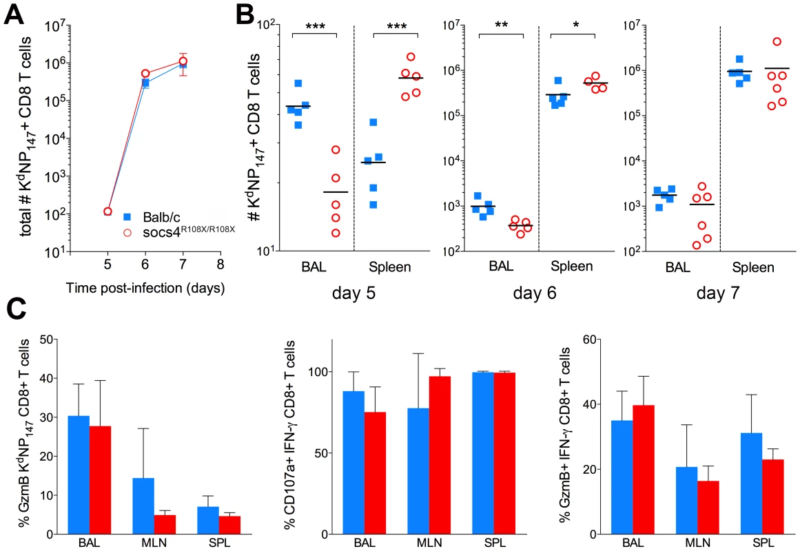 Altered tissue distribution of virus-specific CD8 T cells in <i>Socs4<sup>R108X/R108X</sup></i> mice.