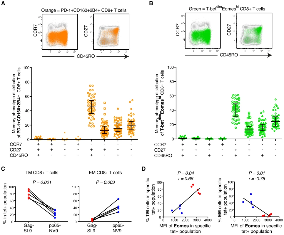Phenotypic characterization of T-bet and Eomes expression in untreated HIV-infection.