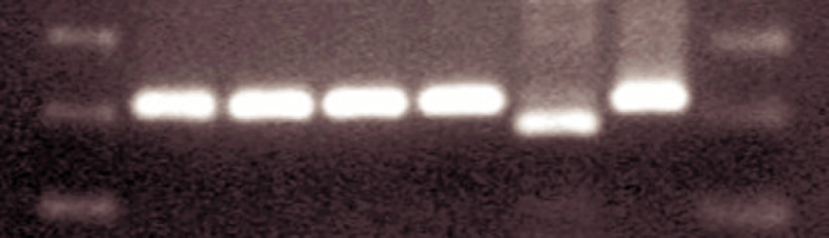 jp_2200_p_3