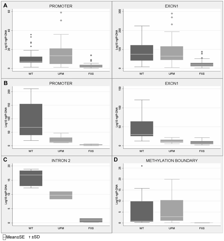Quantification of CTCF binding on <i>FMR1</i> locus through ChIP analysis.