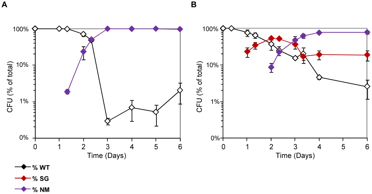 NM and SG morphotypes are selected in continuous cultures supplemented with bile salts.