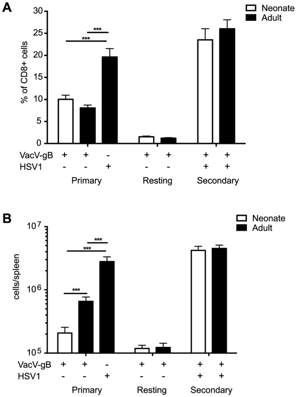 Magnitude of primary and secondary gB-8p-specific CD8+ T cell responses.