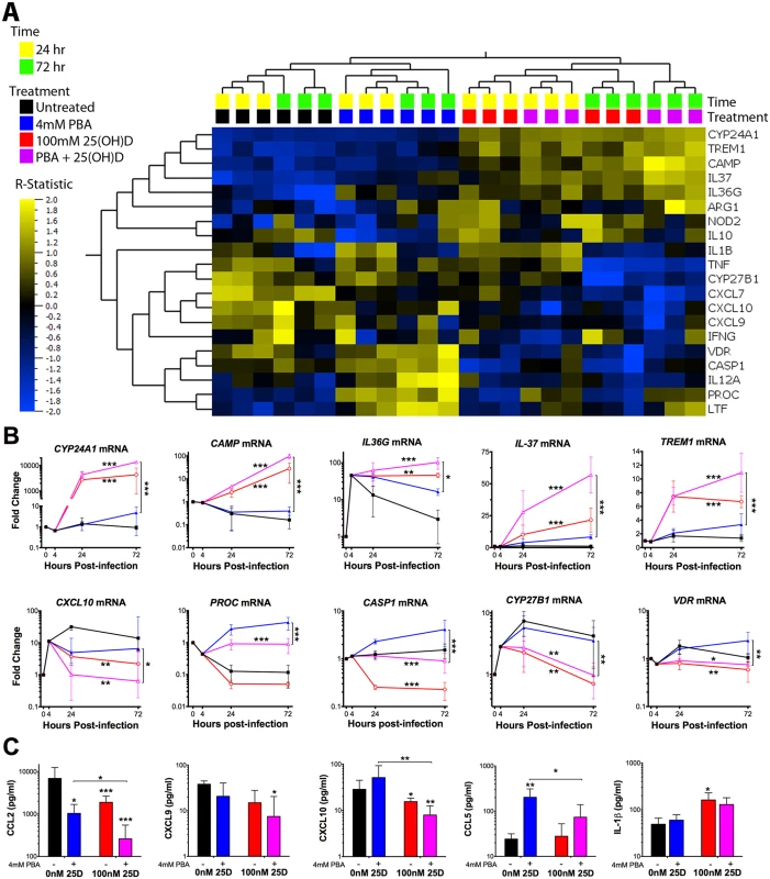 PBA and 25(OH)D<sub>3</sub> synergistically and independently modulate MDM response to <i>Mtb</i> infection.