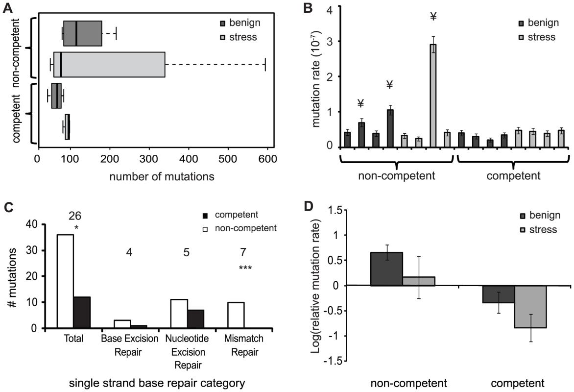Number of mutations and mutation rates of evolved populations.