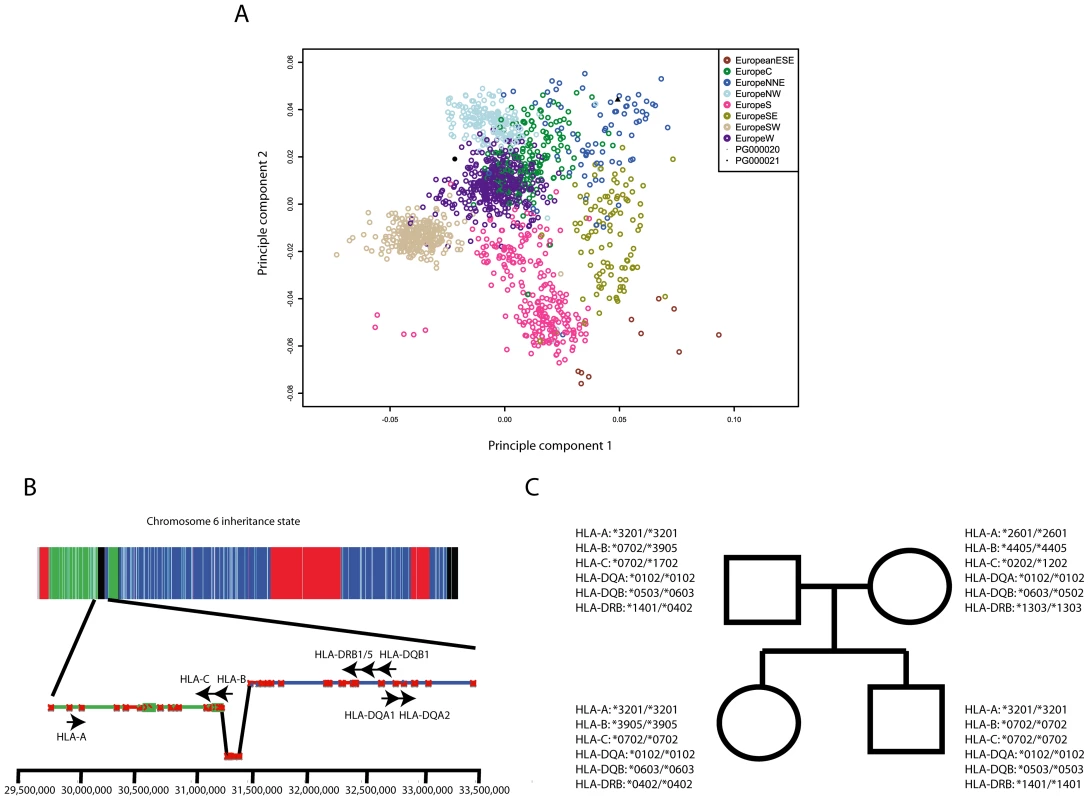 Ancestry and immunogenotyping using phased variant data.